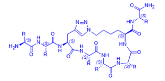 Click Peptide