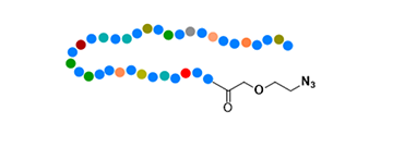 Peptide Conjugate