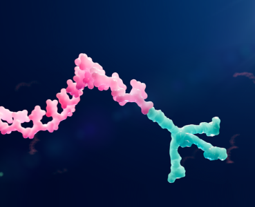 oligonucleotide conjugate