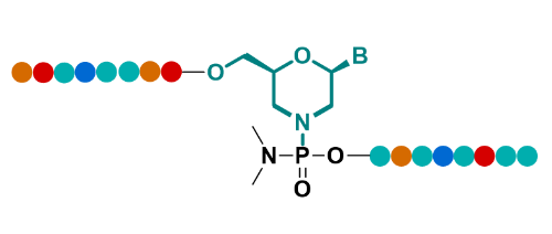 144 5 SMCC Aptamers 375 nmol each 2 寡核苷酸