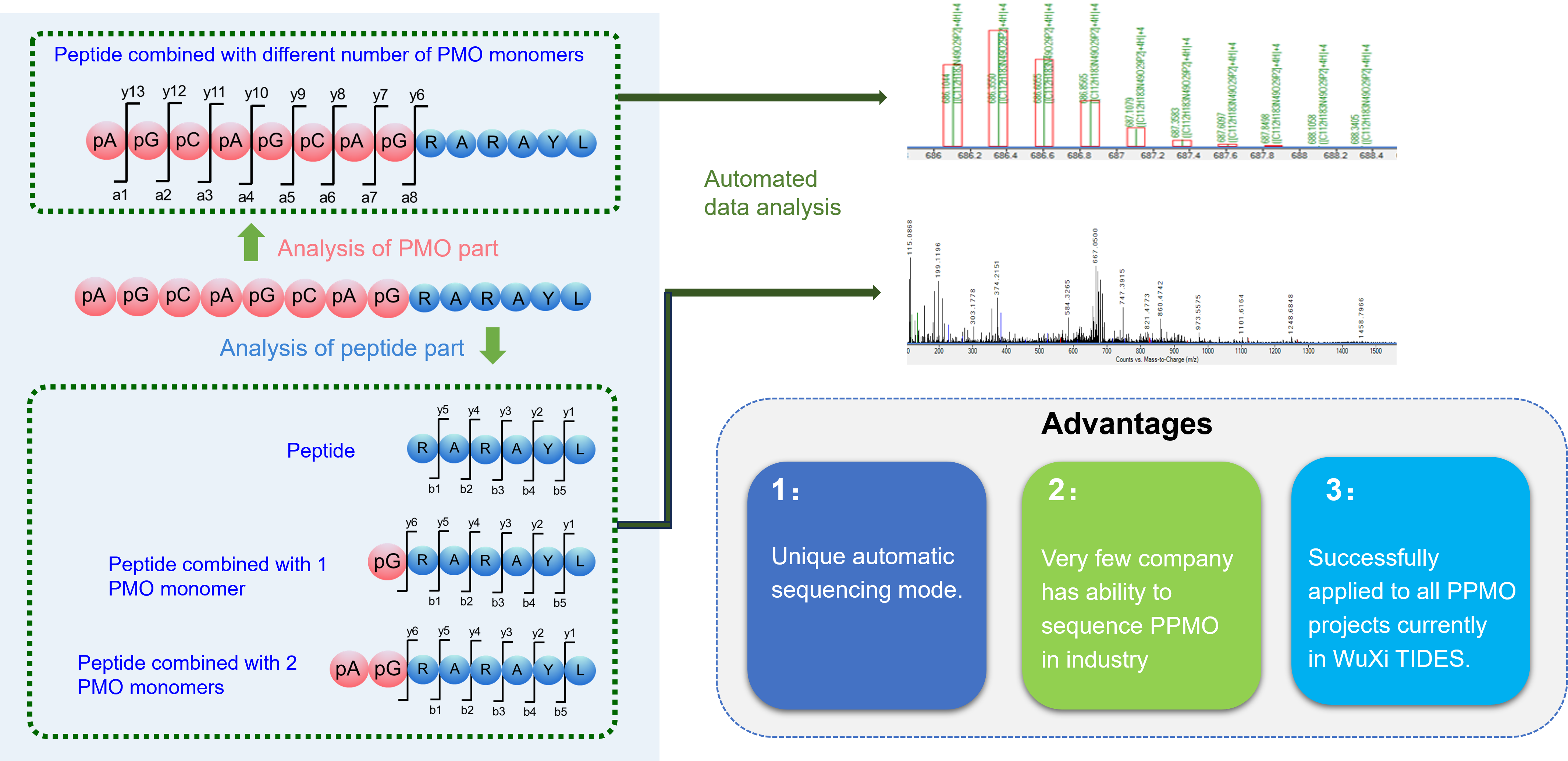 OligoAnalyticalCaseStudy3 分析