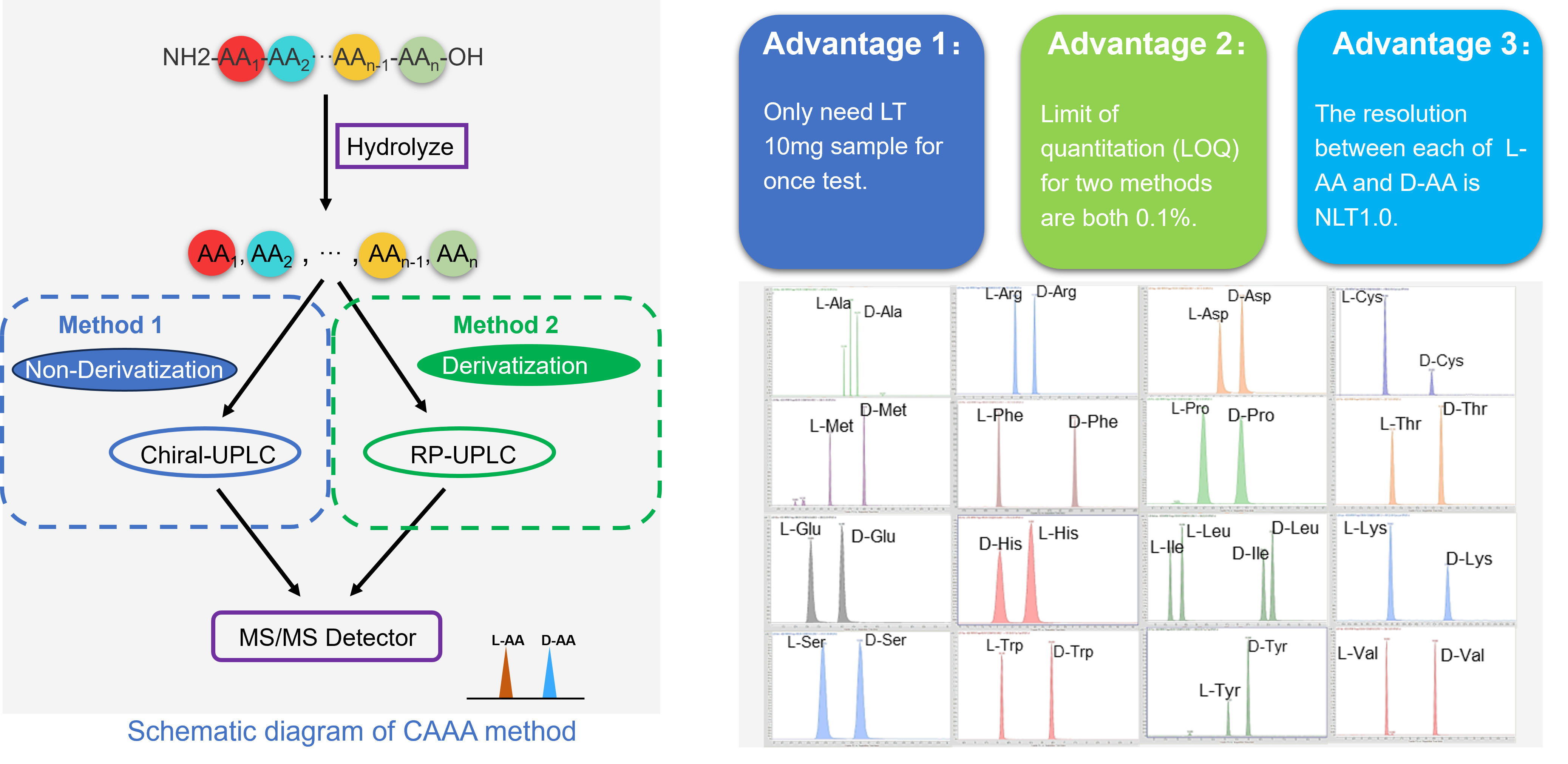 PeptideAnalyticalCaseStudy3 分析