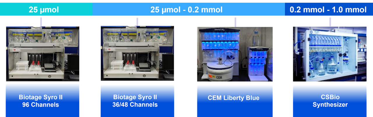 discovery peptide synthesizers3 多肽