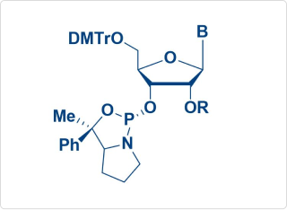 Chiral amidite API