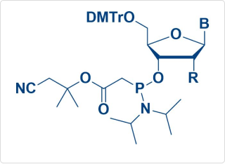 PACE amidite Monomer & Ligand