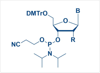 RNAi amidite API