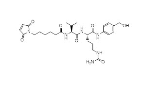 w e2 1 03 Peptide Conjugate