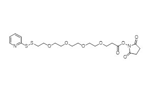 w e2 3 07 Peptide Conjugate