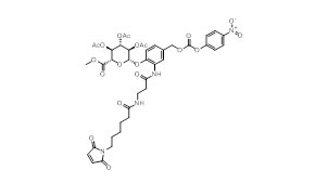 w e2 4 09 Peptide Conjugate