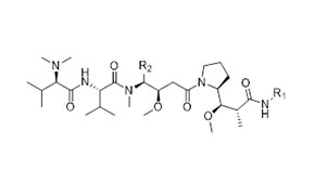 w e2 5 15 Peptide Conjugate