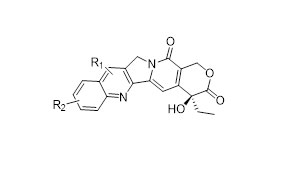 w e2 7 17 Peptide Conjugate