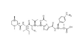 w e2 8 18 Peptide Conjugate