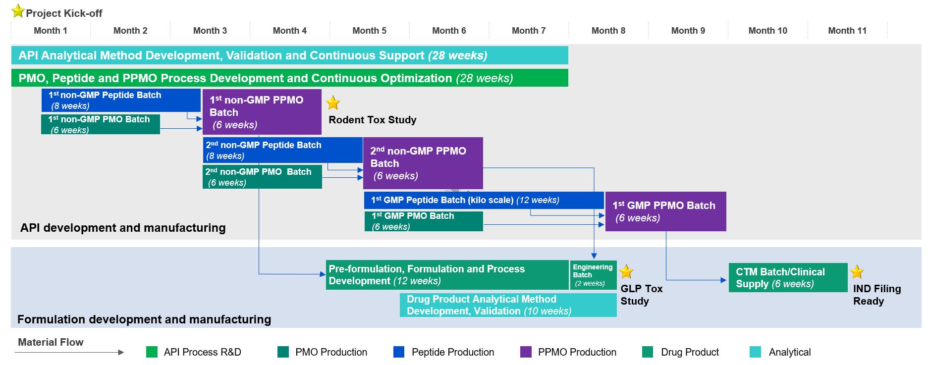 PPMO case study Oligonucleotide Conjugate