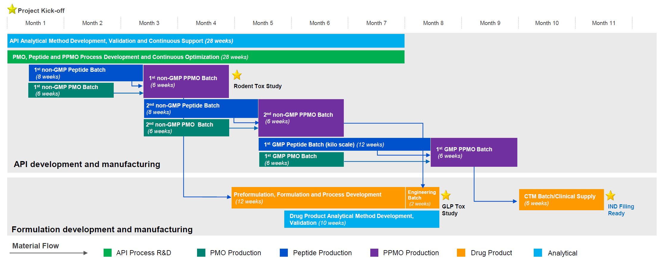 IND Ready in 11 Months for a PPMO Drug Candidate