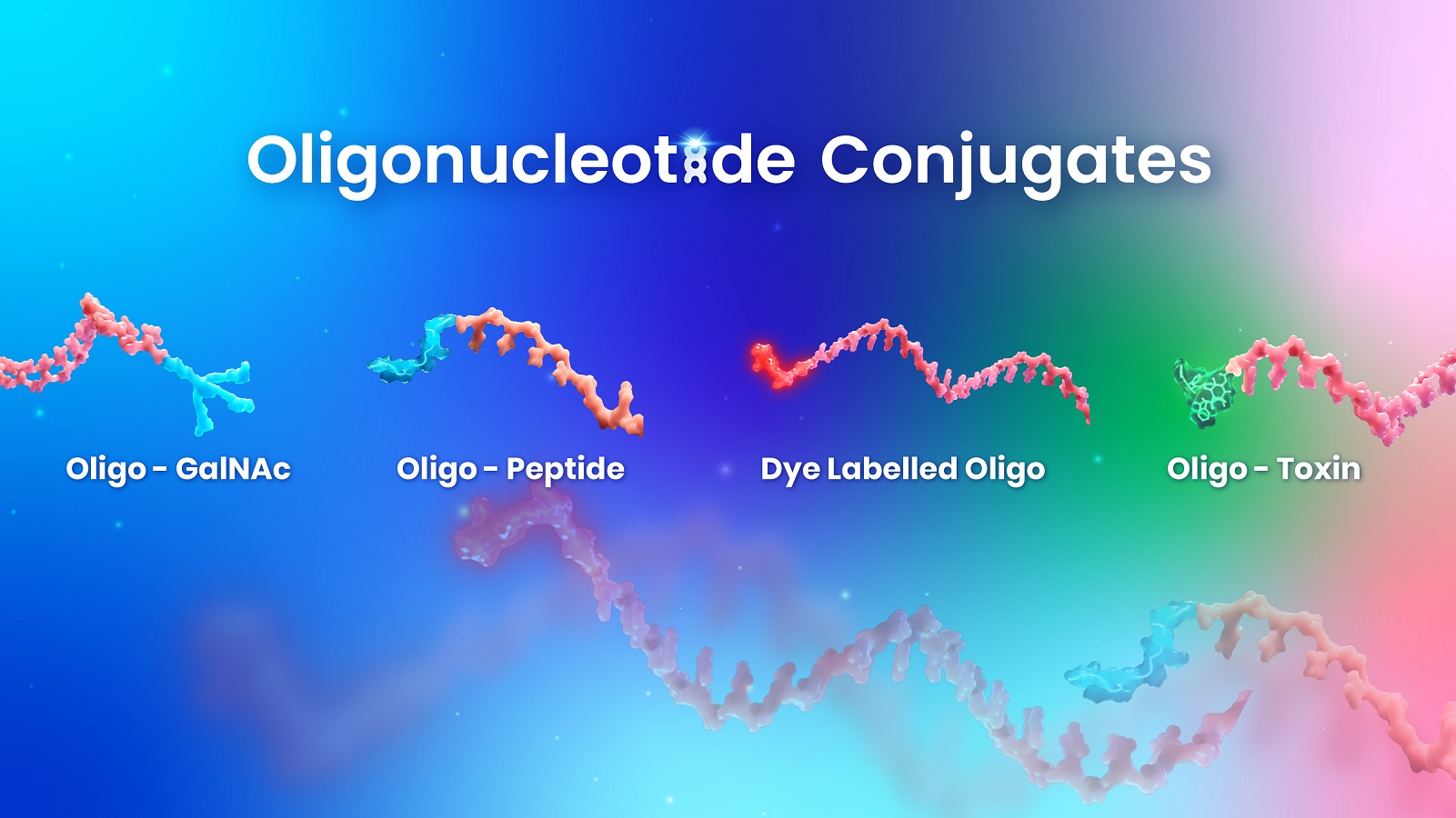 WuXi TIDES oligo Conjugate